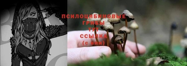 молекула духа Абаза