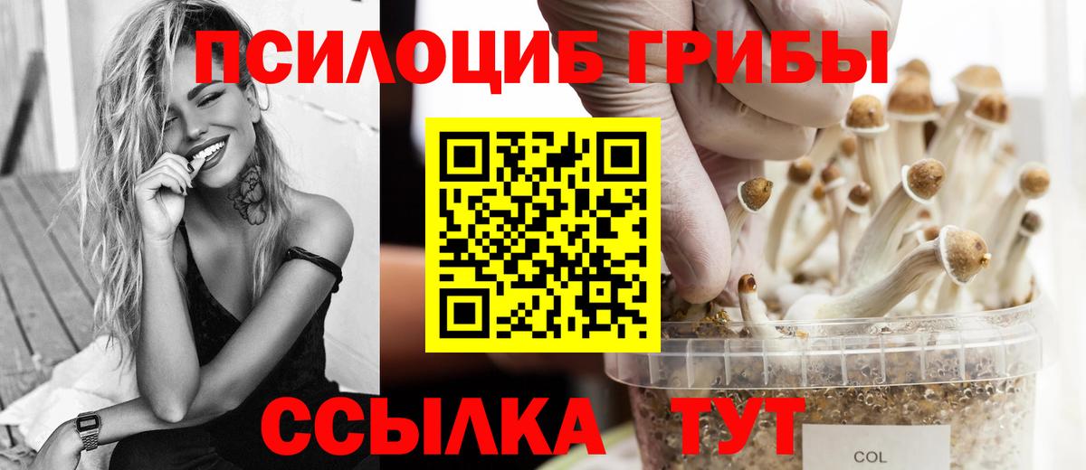 Галлюциногенные грибы прущие грибы Благодарный