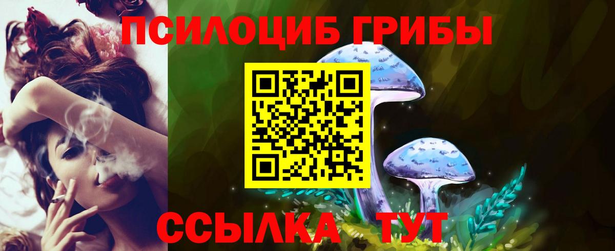Благодарный  Галлюциногенные грибы ЛСД  Псилоцибиновые грибы Psilocybe  Вход с VPN 