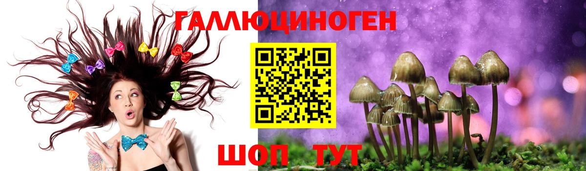 Купить наркотики цена  Благодарный  Вход с VPN  ГАШ  COCAIN  ГАШ  МЕФ   Каннабис 
